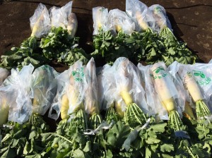 20161211_161225_0020