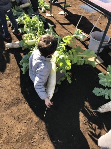 20161211_161225_0433