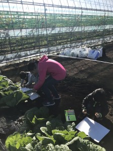 20161211_161225_0497