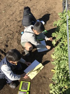 20161211_161225_0505