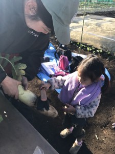 20161211_161225_0827