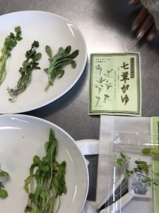 2017.1.7_170113_0761