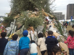 2017.1.8_170117_0003