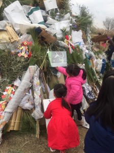 2017.1.8_170117_0006