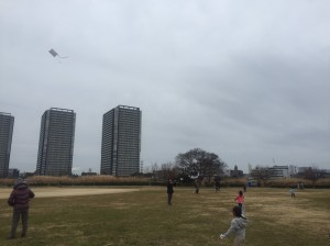 2017.1.8_170117_0012