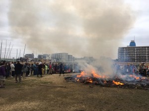 2017.1.8_170117_0041