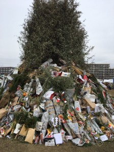 2017.1.8_170117_0047