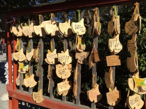 20170105_170111_0044