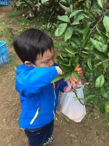 20181202_181203_0130