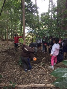 20181202_181203_0195