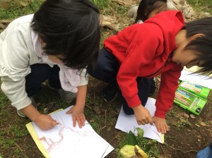 20181202_181203_0403