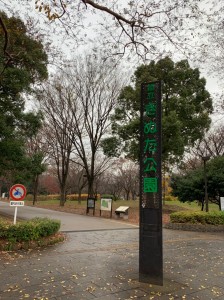 20181223_190104_0044