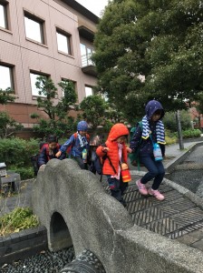 20181223_190104_0206