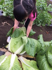 20181223_190104_0275