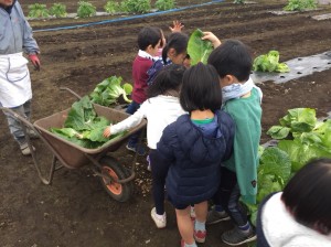 20181223_190104_0281