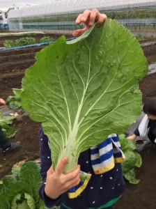 20181223_190104_0287