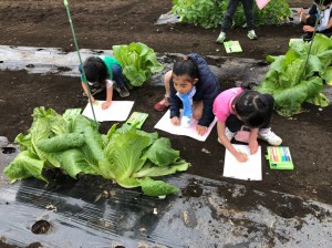 20181223_190104_0377