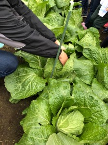 20181223_190104_0428