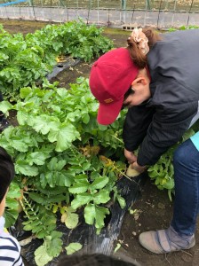 20181223_190104_0473