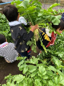 20181223_190106_0470