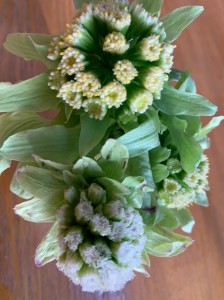 20200404_200404_0077