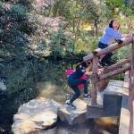 LINE_ALBUM_20230108HP用_230108_2