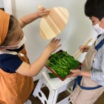 LINE_ALBUM_20230318桜咲く春の鰯御膳_230319_46